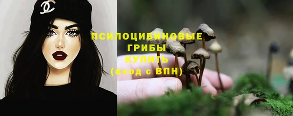 jwh Абаза